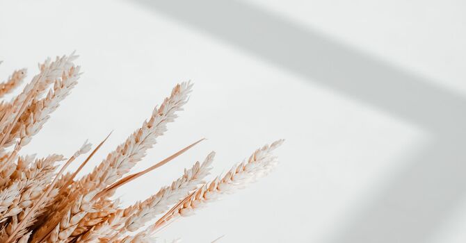 Multiple Services Appointments